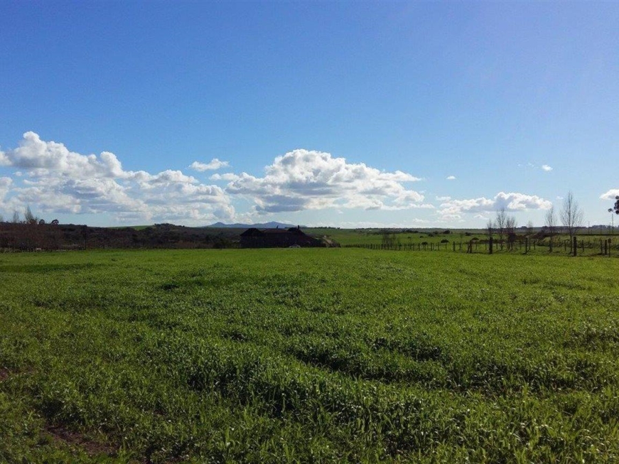 0 Bedroom Property for Sale in Klipheuwel Western Cape